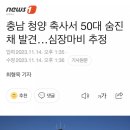 [일반] 코로나 이후 유명인들의 심장병, 뇌졸중 사망 기사 이미지