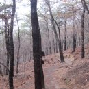 개화산 약사사 삼거리 이미지