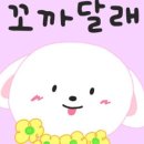 까까다멍 이미지