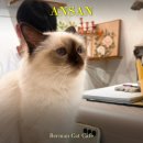 패밀리캣 | 안산 버만캣패밀리 후기ㅣ내돈내산, 순한 개냥이 카페 추천, 버만고양이 카페