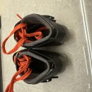 크레이지랩 이미지