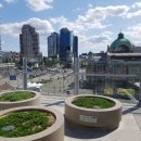 YJ메디컬 | 2탄 - 에스테틱 피부재생필수아이템 -아사필키트/메디컬앰플/슈퍼리피드/산소마스크/리파이닝마스크...