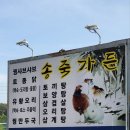 송죽가든 이미지