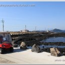 하우목동항 이미지