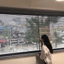 스튜디오하이라이크