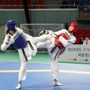 한국체대승리태권도 이미지