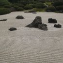 한일레포츠 이미지