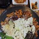 마당발쭈꾸미 이미지