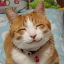 웃으면복이와요 이미지