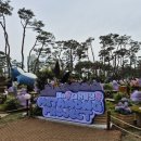 닭쏘 | 나 우울해서 기타 샀어..