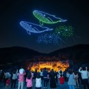 (주)코리아세븐 광명문화점 | 광명동굴 드론쇼 빛축제! 주차 꿀팁과 후기 총정리