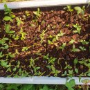 성정농장 이미지