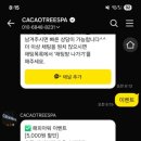 카카오트리(CACAOTREE) 네이버블로그