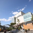 서대문자연사박물관(11월~2월) 이미지