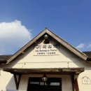 기차마을 장미공원 | 곡성 카페 기차마을 근처 장미공원 영일도라 디트레인