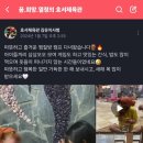 예산유도체육관