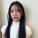 빈센트 헤어 이미지