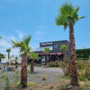 전기차충전소_제주민속오일시장 이미지