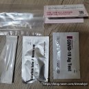 코로나자가진단키트(SD BIOSENSSOR) 후기 -약국에서 구입 가능!