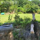 돌기와 토담집 | 양평펜션 돌기와토담집 놀러가고싶은곳