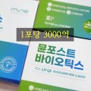 차세대건강약국 이미지