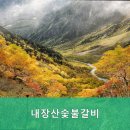 내장산숯불갈비 네이버블로그