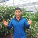 영농조합법인 나눔농장 이미지