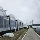 나산농장 이미지