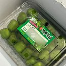 [편의점 신상] 새로 소주 다래맛 출시! 상큼한 과일 소주 솔직 후기