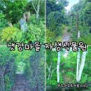 냇강쉼터 이미지