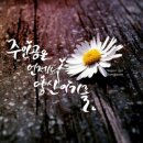 한아름시장 이미지