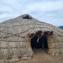 제주 삼양동 유적 | 제주 삼양동 유적 (Jeju Samyangdong Prehistoric Site)