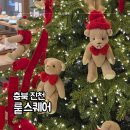 충북 진천 뤁스퀘어 - 식목원 같은 대형 식물카페 힐링 후기