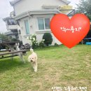 노블레스팬션 이미지