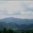 낙동농장 이미지