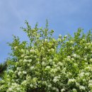 도예공방기린 이미지