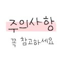 브이아이피썬팅
