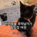 고양이 유치원 | 고양이 강아지여권 만들기 체험 후기｜발도장으로 남기는 특별한 기록 with. daily1030