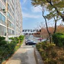 동삼(태권도) 이미지