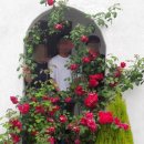 곱은달집 이미지