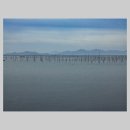 바다농장 이미지