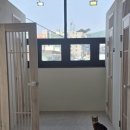 미미캣살롱&고양이호텔 이미지