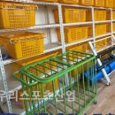 화정초등학교 이미지