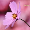 지행이네 이미지