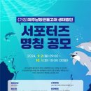 [공모전사이트] (가칭)제주남방큰돌고래 생태법인 서포터즈 명칭 공모 이미지