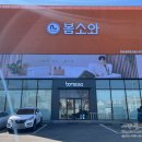 광주 맞춤쇼파 전문점 '봄소와 소파 광주점' 방문 후기, 예쁜소파가 한가득♡