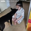 리태 네이버블로그