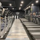 에스휘트니스 이미지