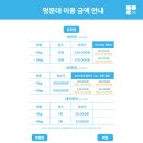 멍문대 애견유치원 이미지