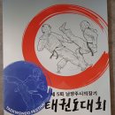 용인대 강 태권도 | 평내호평동 청룡태권도 제5회 남양주시의회 의장기 태권도대회 참가 후기
